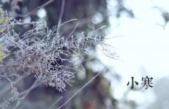 小寒时节婴幼儿家庭护理受关注